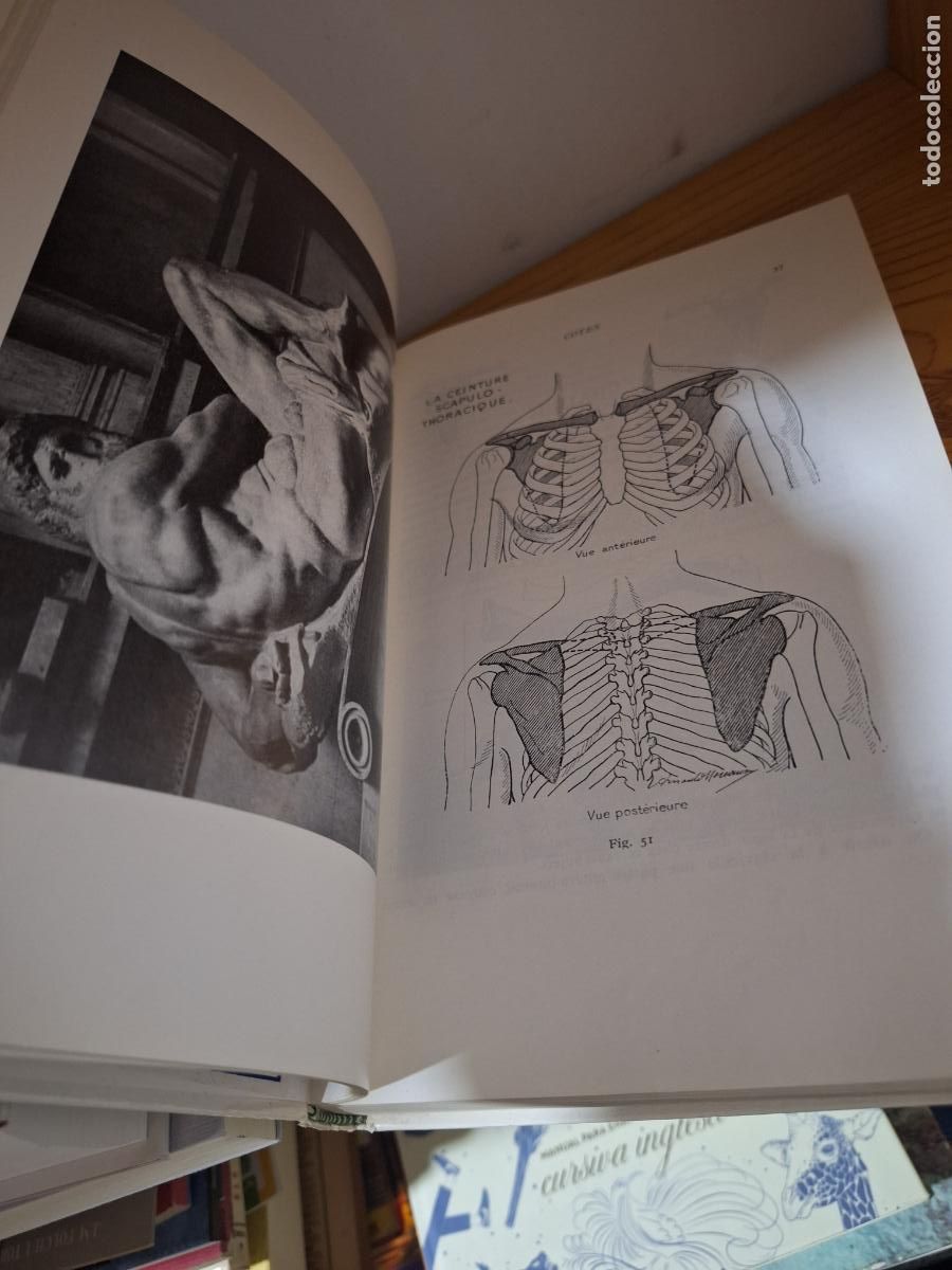Libros de segunda mano: Anatomie Artistique - Arnould Moreaux - Foto 4