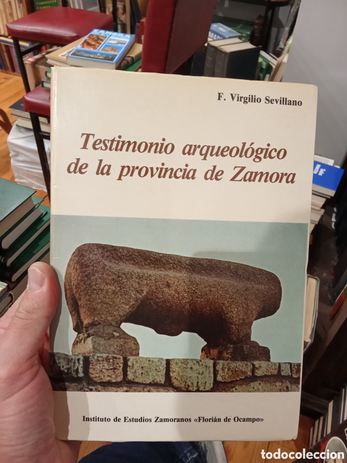 Libros de segunda mano: Testimonio arqueol&oacute;gico de la provincia de Zamora - F. Virgilio Sevillano