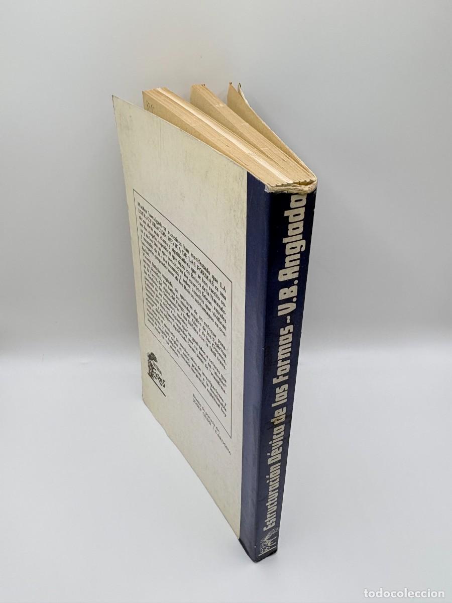 Libros de segunda mano: Estructuraci&oacute;n d&eacute;vica de las formas, Vicente Beltr&aacute;n Anglada - Ed. Eyras, 1982 - Foto 2