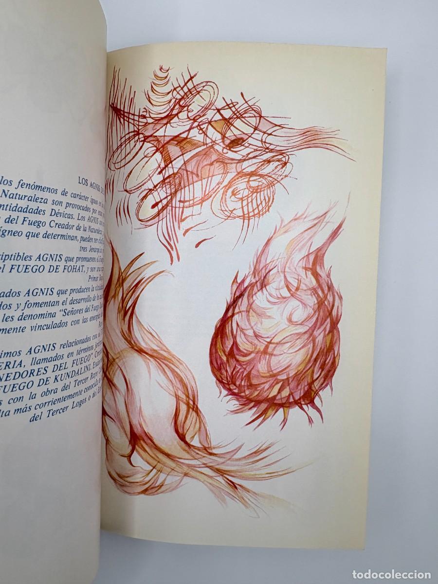 Libros de segunda mano: Estructuraci&oacute;n d&eacute;vica de las formas, Vicente Beltr&aacute;n Anglada - Ed. Eyras, 1982 - Foto 7
