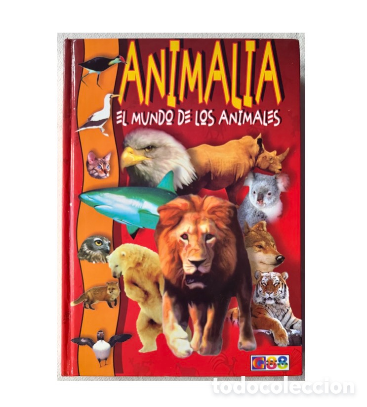 Libros de segunda mano: Animalia, el mundo de los animales. Infantil. Descatalogado. 2003, primera edici&oacute;n.
