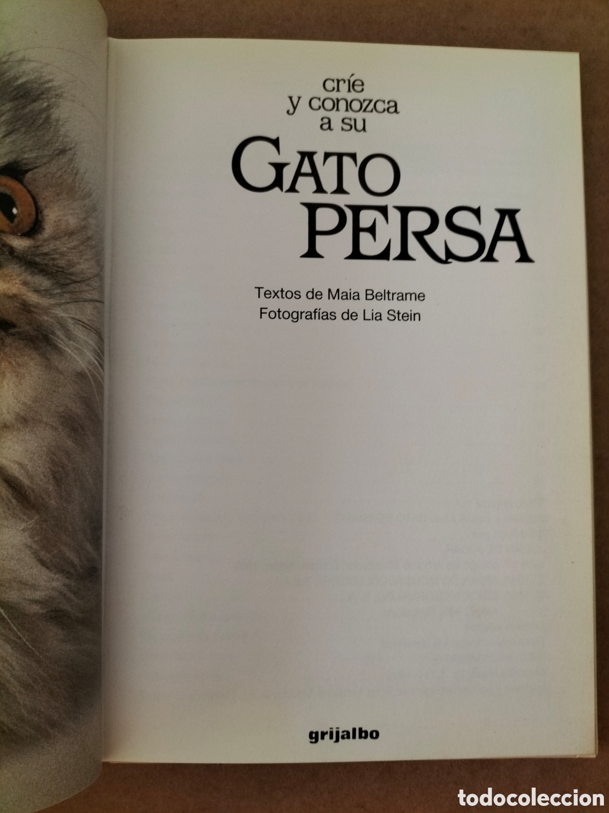 Libros de segunda mano: Cr&iacute;e y conozca a su gato persa. Textos de Maia Beltrame. Libro - Foto 2
