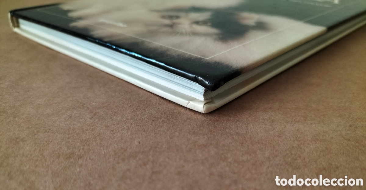 Libros de segunda mano: Cr&iacute;e y conozca a su gato persa. Textos de Maia Beltrame. Libro - Foto 8
