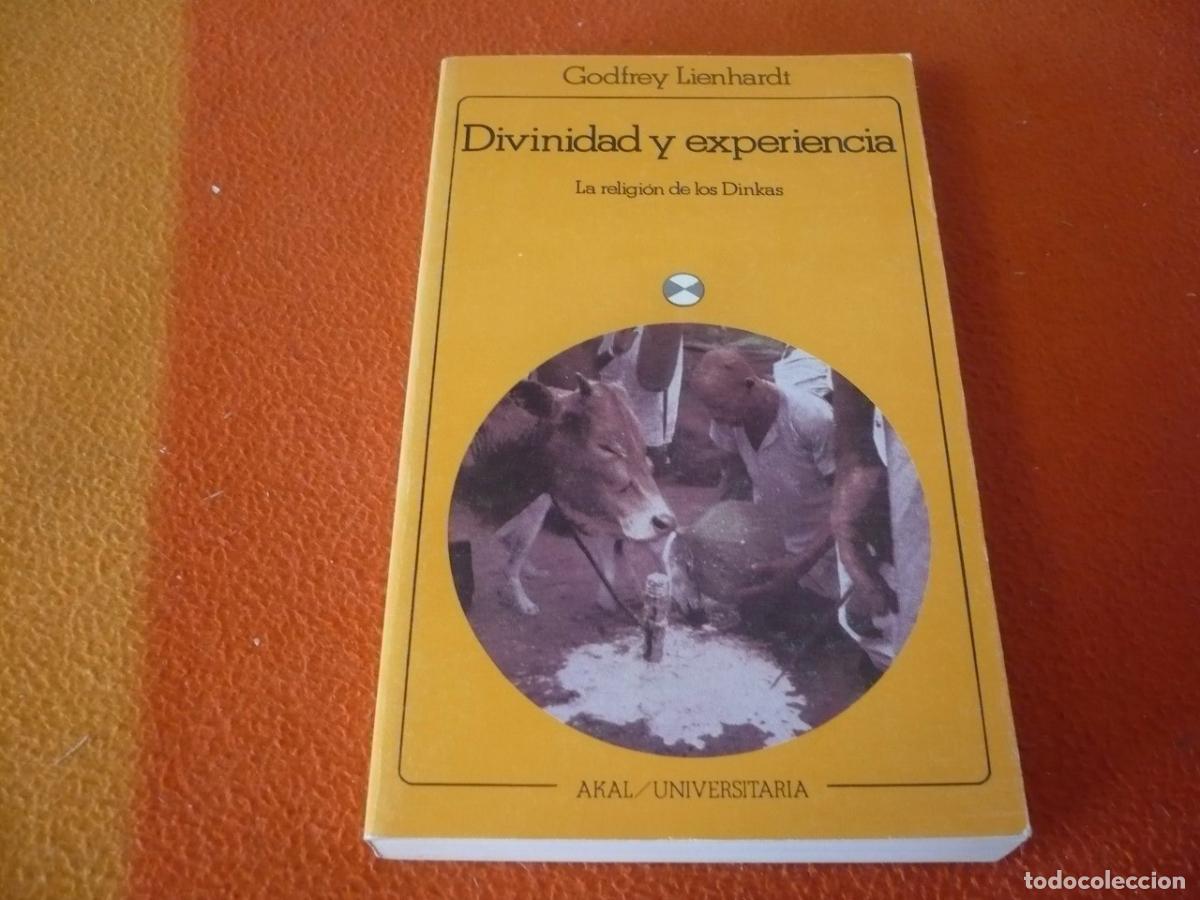 Libros de segunda mano: DIVINIDAD Y EXPERIENCIA LA RELIGION DE LOS DINKAS (LIENHARDT) AKAL ANTROPOLOGIA AFRICA SUDAN