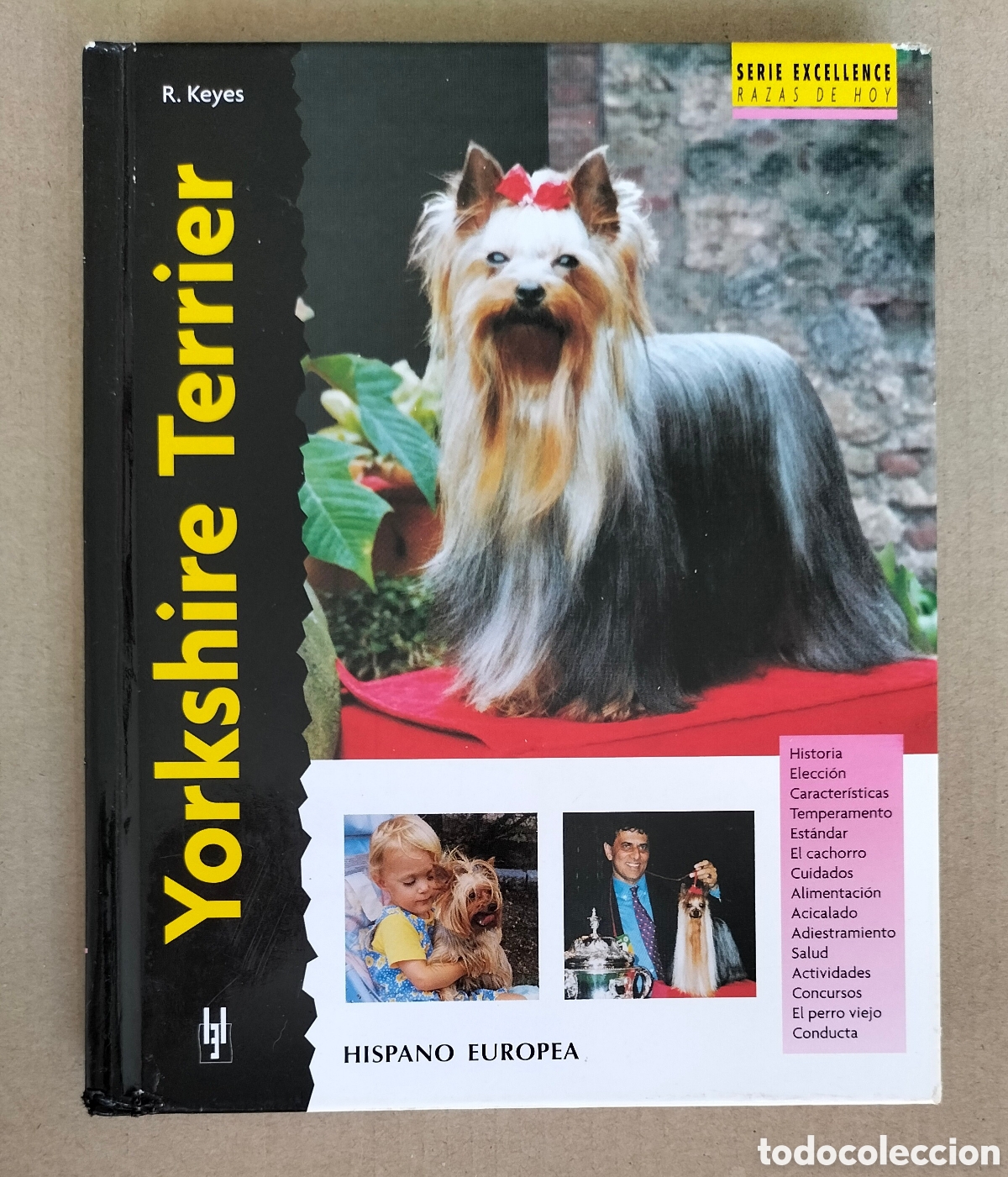 Libros de segunda mano: Yorkshire Terrier. Rachel Keyes. Razas de hoy. Editorial Hispano europea, 2005. Libro