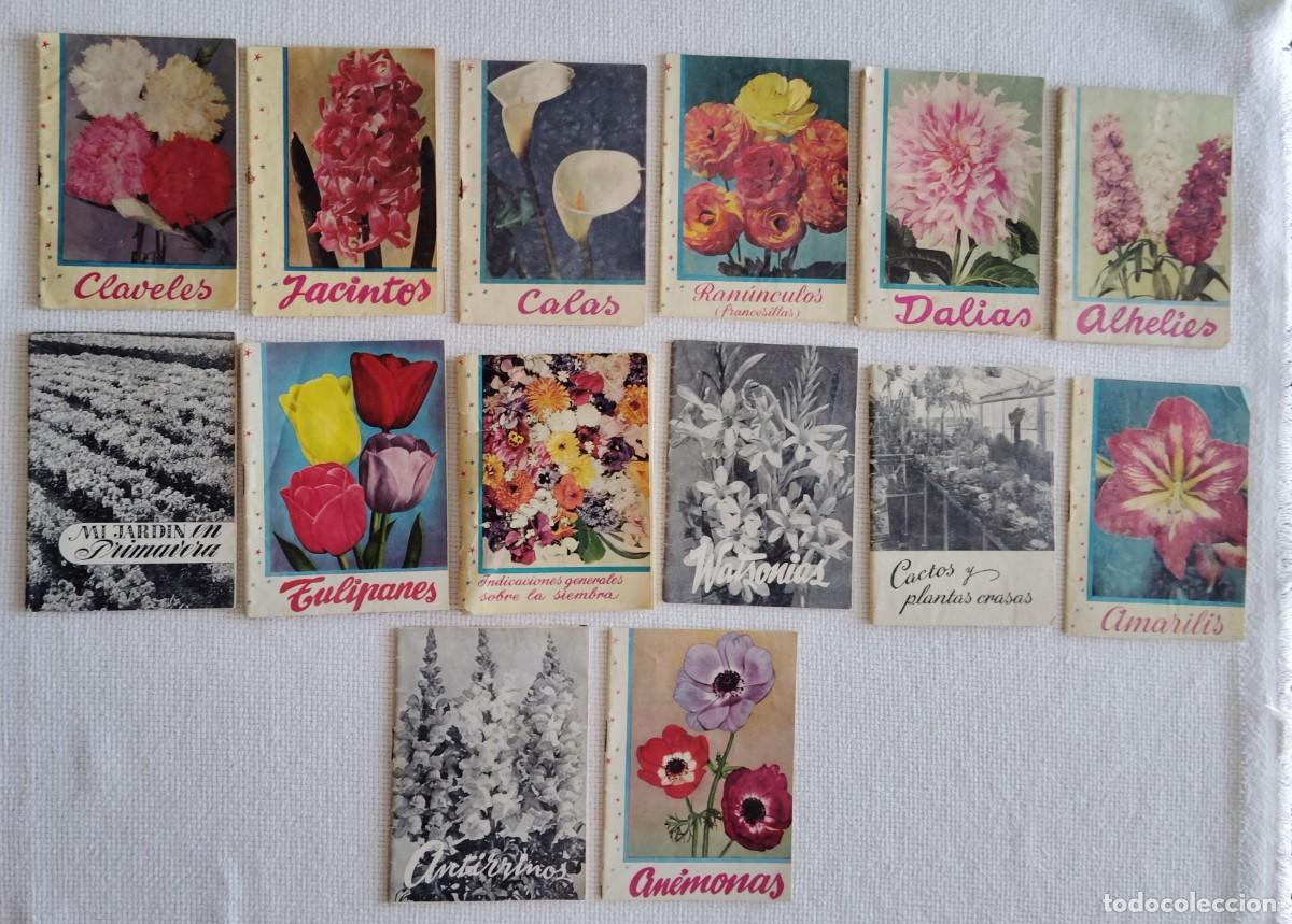 Libros de segunda mano: COLECCION KANDA - LA FLOR DE LAS FLORES - ENVIO CERTIFICADO INCLUIDO .