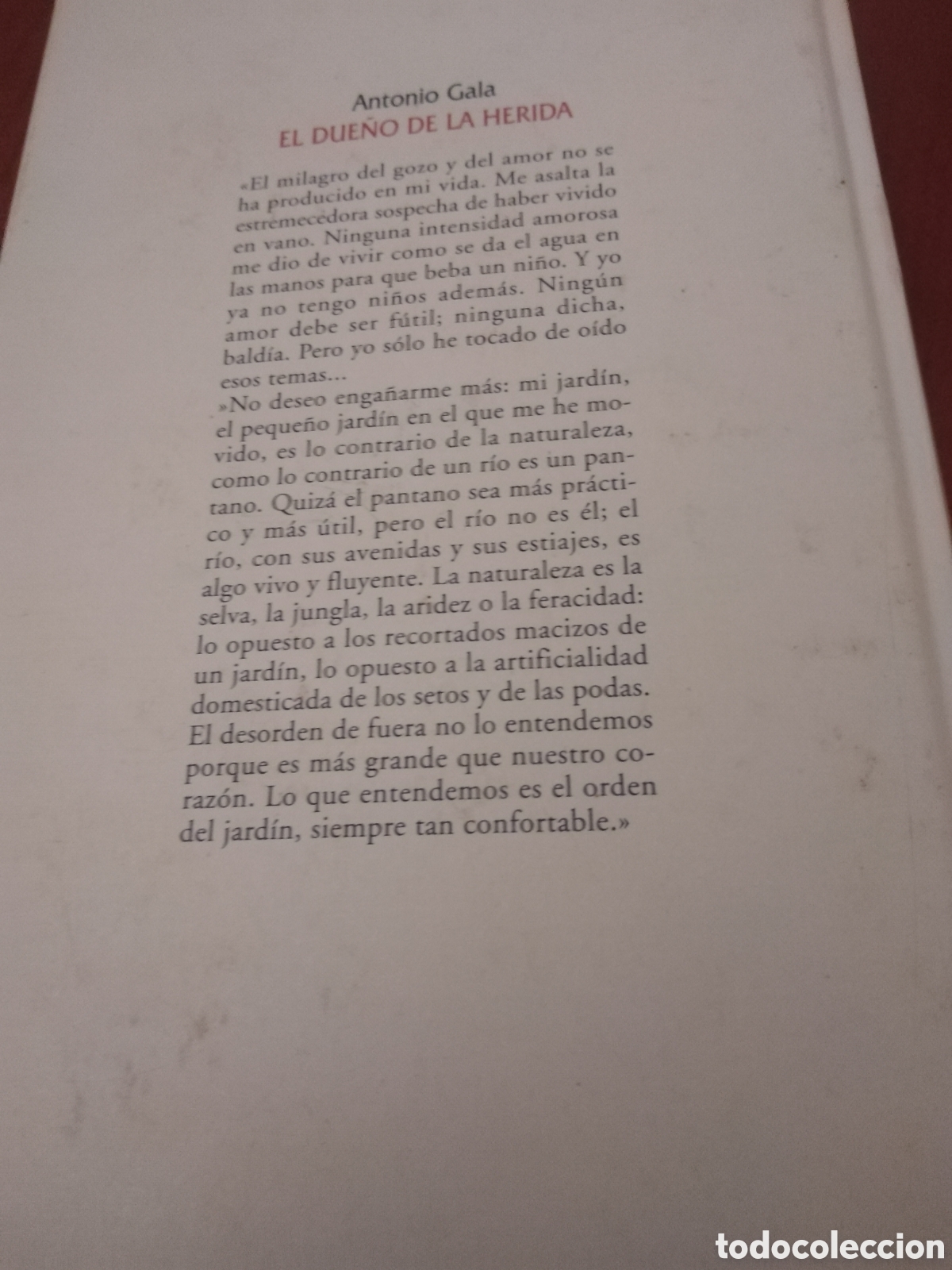 Libros de segunda mano: Libro de Antonio gala. Editorial del 2004 - Foto 3