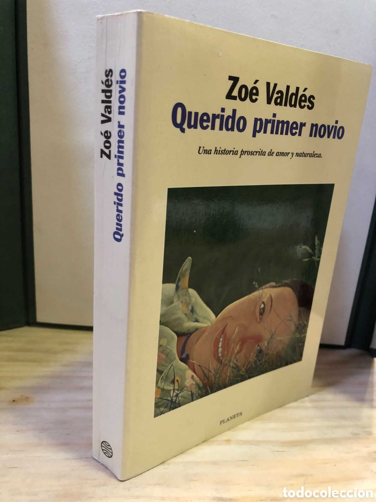 Libros de segunda mano: Querido primer novio - Zo&eacute; Vald&eacute;s