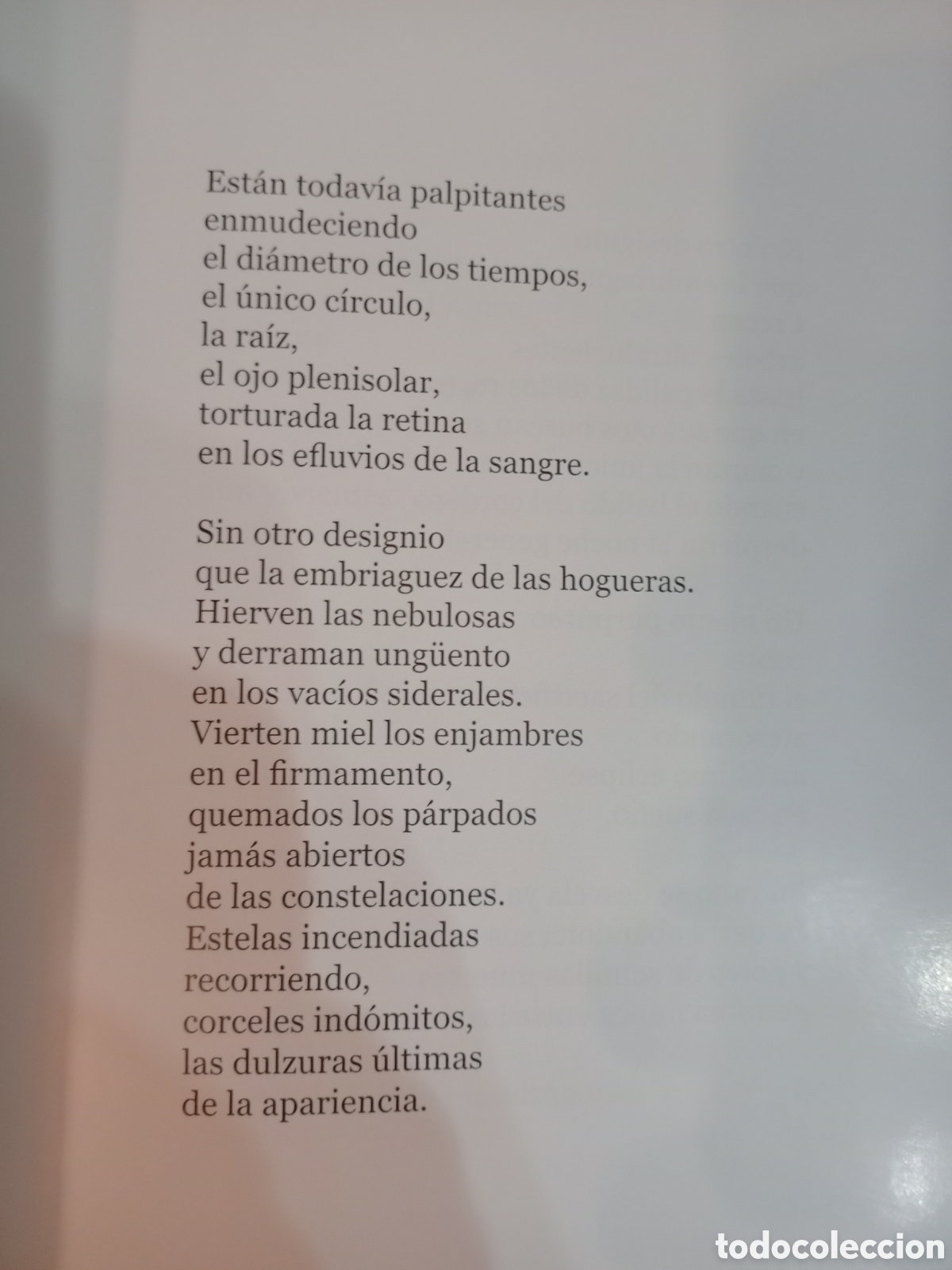 Libros de segunda mano: Serpigo poemas de jorge Cu&ntilde;a - Foto 3