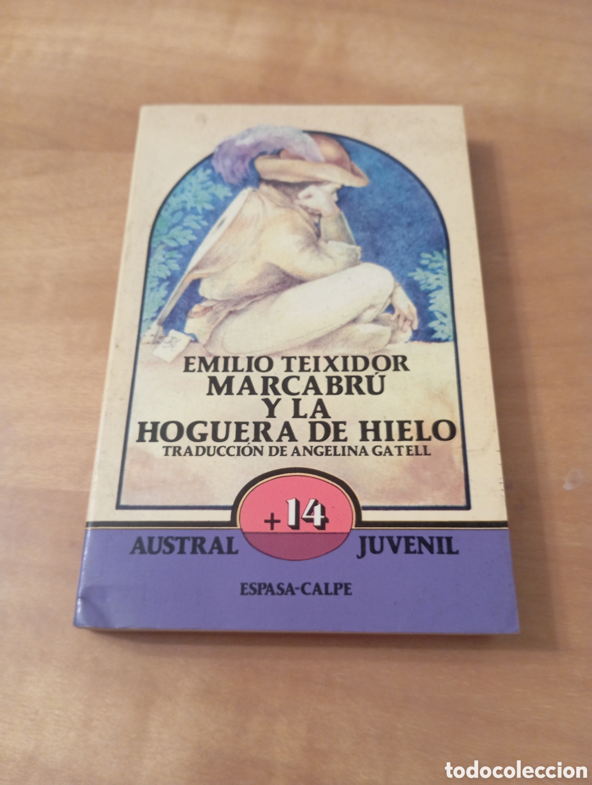 Libros de segunda mano: MARCABR&Uacute; Y LA HOGUERA DE HIELO de EMILIO TEIXIDOR