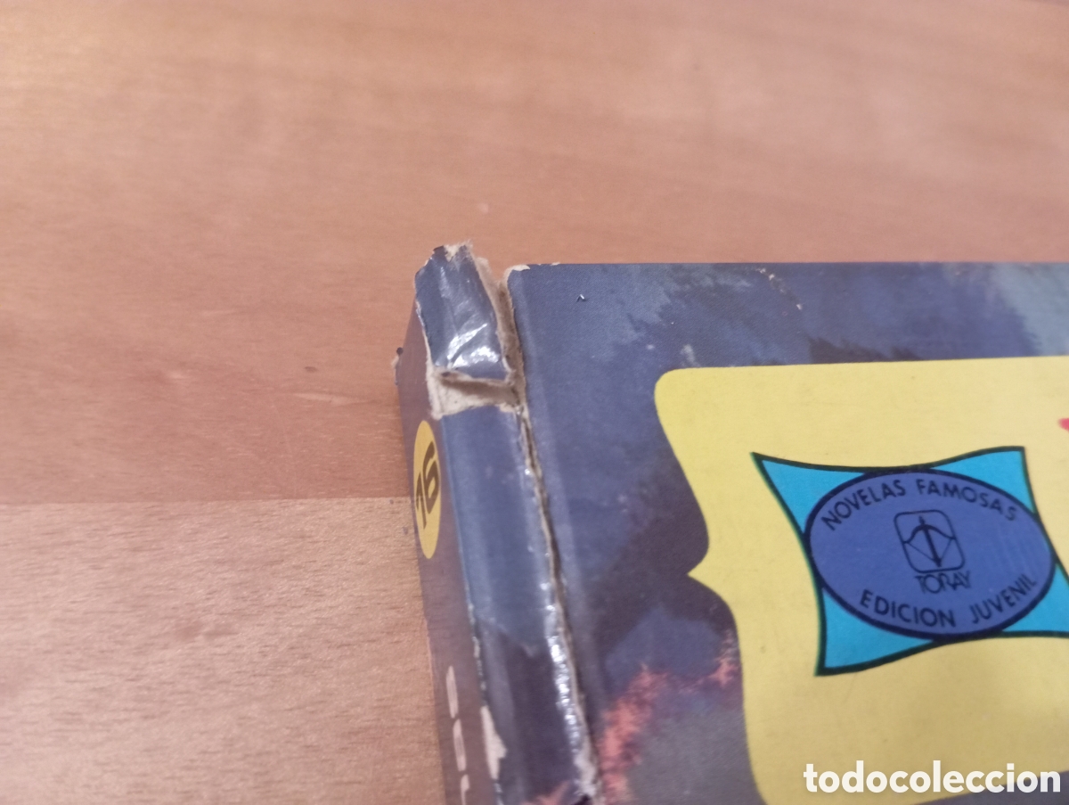 Libros de segunda mano: EL TULIP&Aacute;N NEGRO &mdash; ALEJANDRO DUMAS - Foto 2
