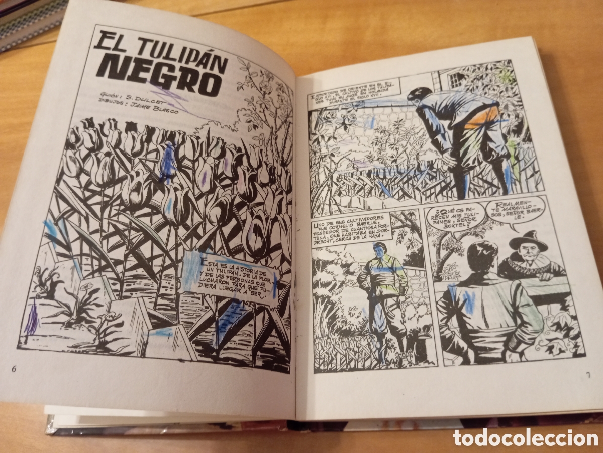 Libros de segunda mano: EL TULIP&Aacute;N NEGRO &mdash; ALEJANDRO DUMAS - Foto 12
