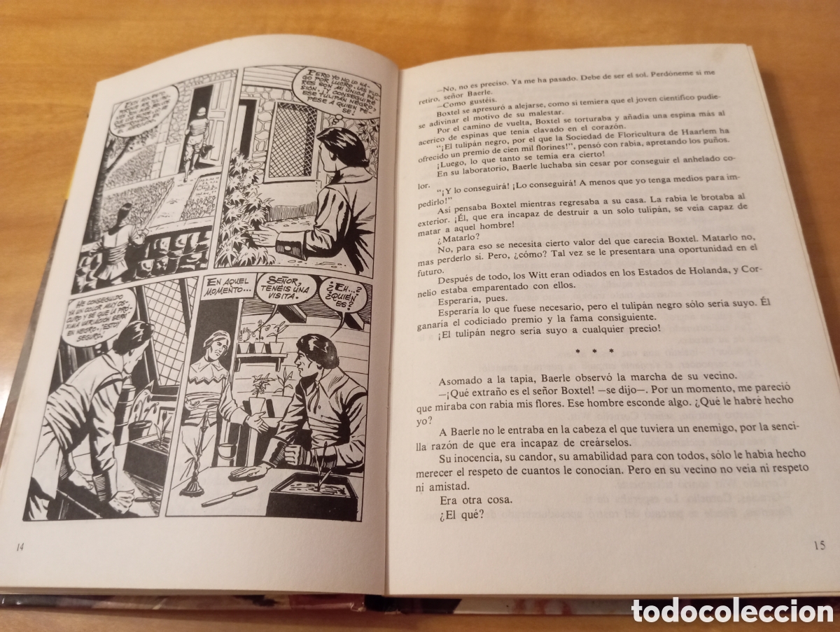 Libros de segunda mano: EL TULIP&Aacute;N NEGRO &mdash; ALEJANDRO DUMAS - Foto 13