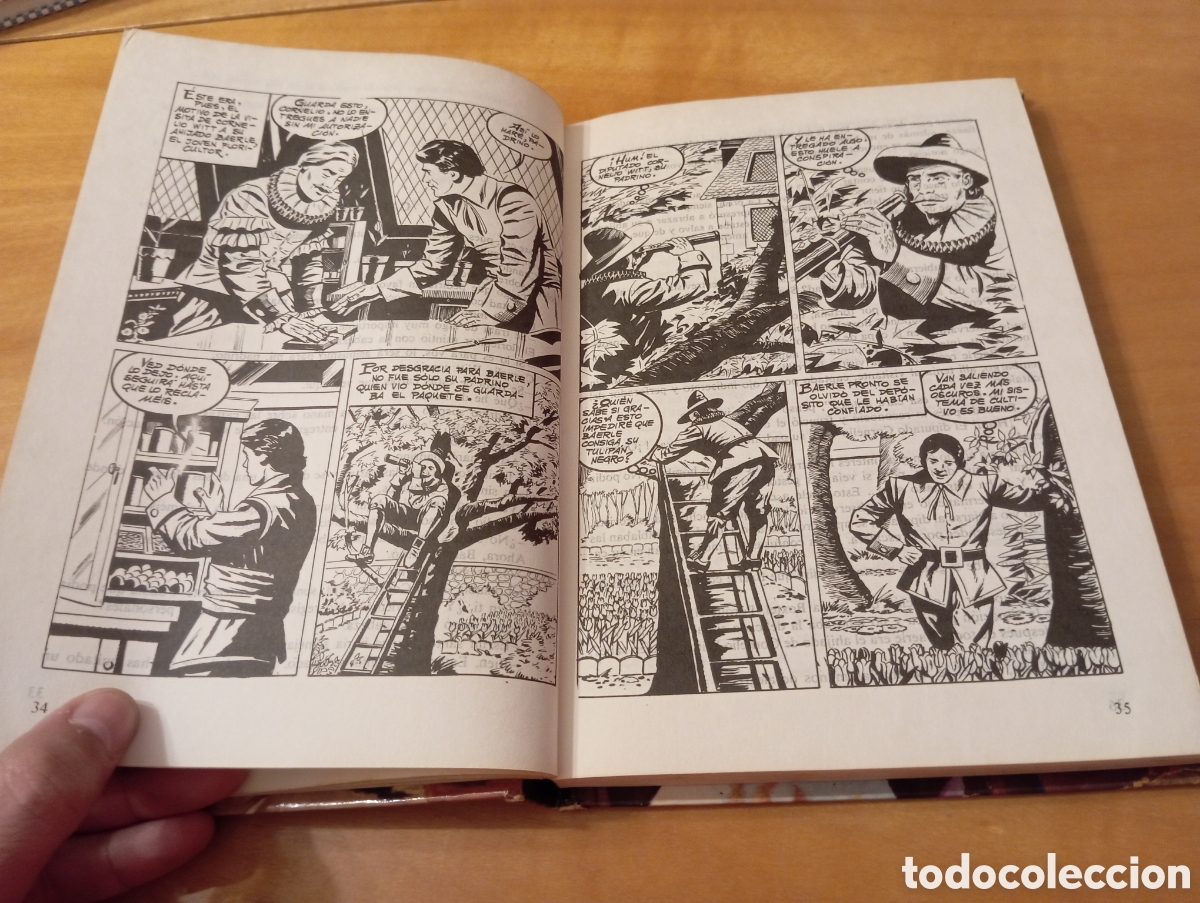 Libros de segunda mano: EL TULIP&Aacute;N NEGRO &mdash; ALEJANDRO DUMAS - Foto 15