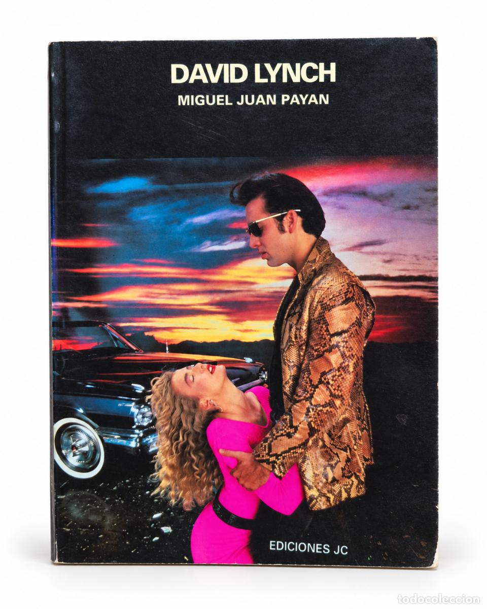 Libros de segunda mano: Miguel Juan Pay&aacute;n &ndash; David Lynch &ndash; Ediciones JC - Foto 1