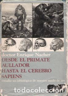 Libros de segunda mano: Desde el primate aullador hasta el cerebro sapiens, Enrique Nache