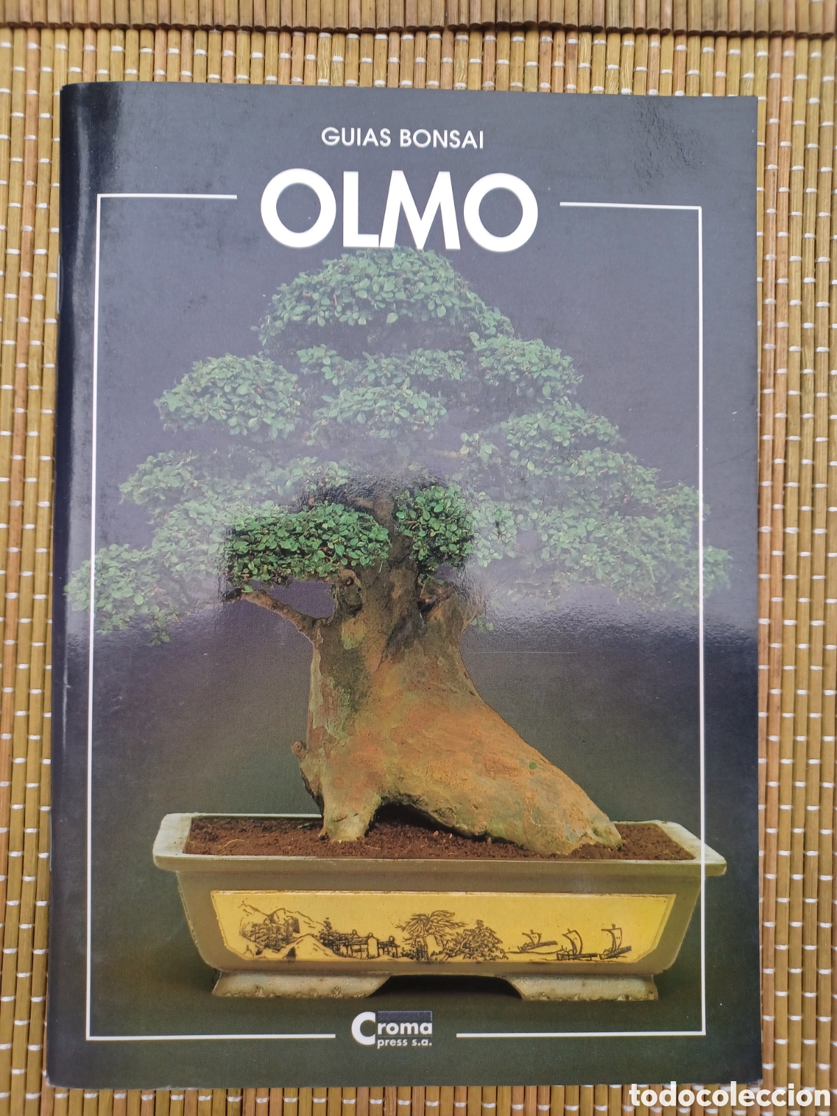 Libros de segunda mano: GUIA BONSAI OLMO - Croma