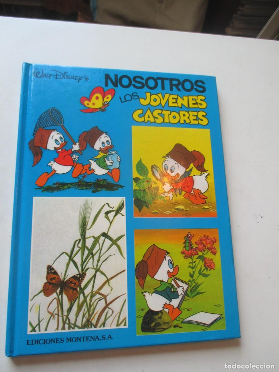 Libros de segunda mano: WALT DISNEY Nosotros los j&oacute;venes castores N&ordm;1 W42668