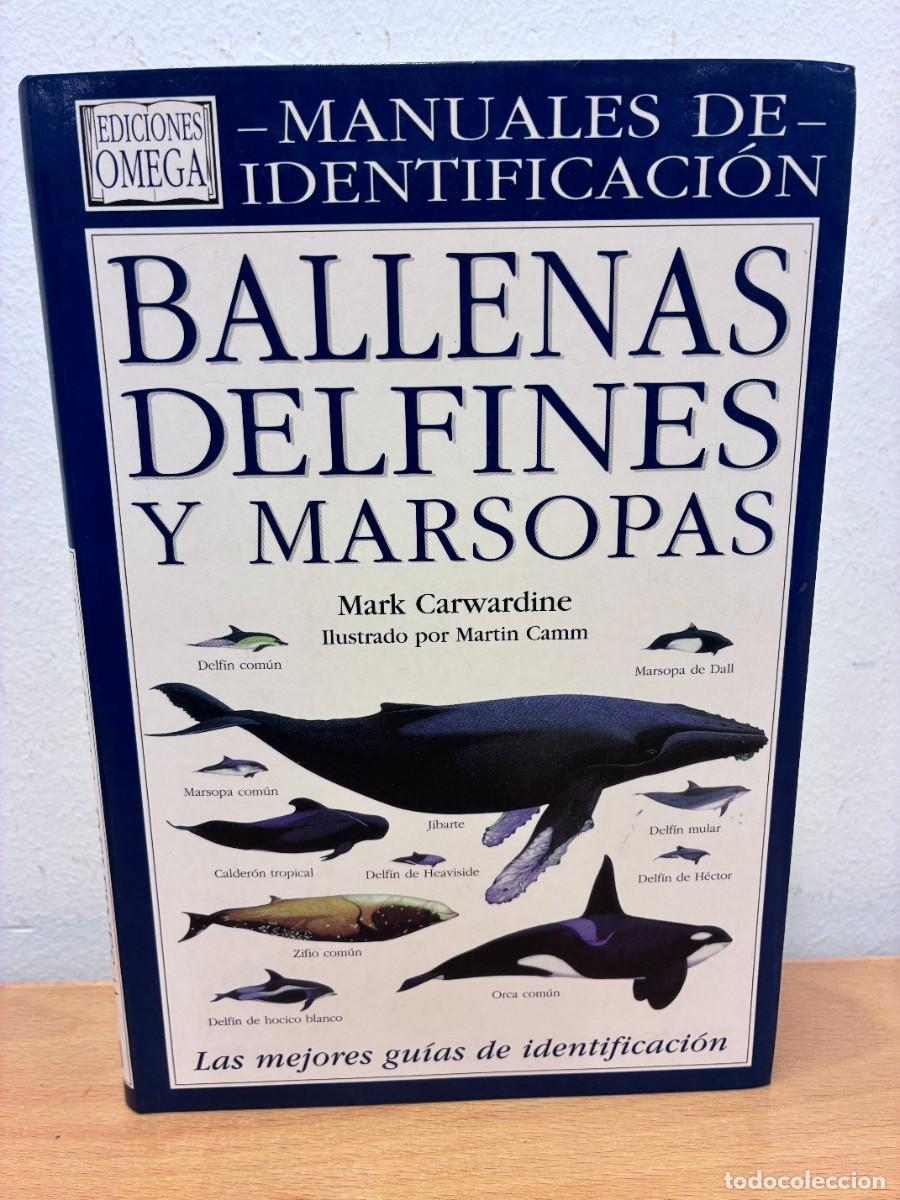 Libros de segunda mano: BALLENAS DELFINES Y MARSOPAS. MANUALES DE IDENTIFICACI&Oacute;N. MARK CARWARDINE. EDICIONES OMEGA, 2004.