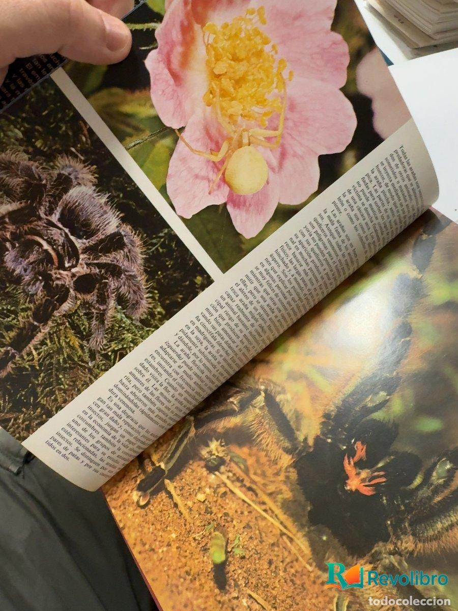 Libros de segunda mano: Animales venenosos - Autor no identificado - Foto 2