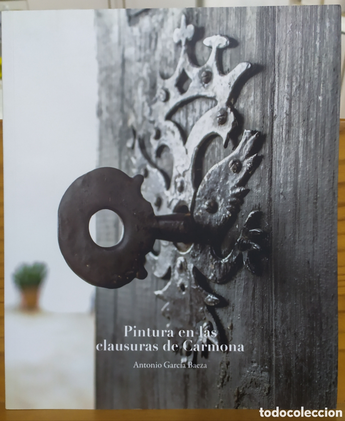 Libros de segunda mano: Pintura en las clausuras de Carmona de Antonio Garc&iacute;a Baeza, Diputaci&oacute;n de Sevilla en 2017.