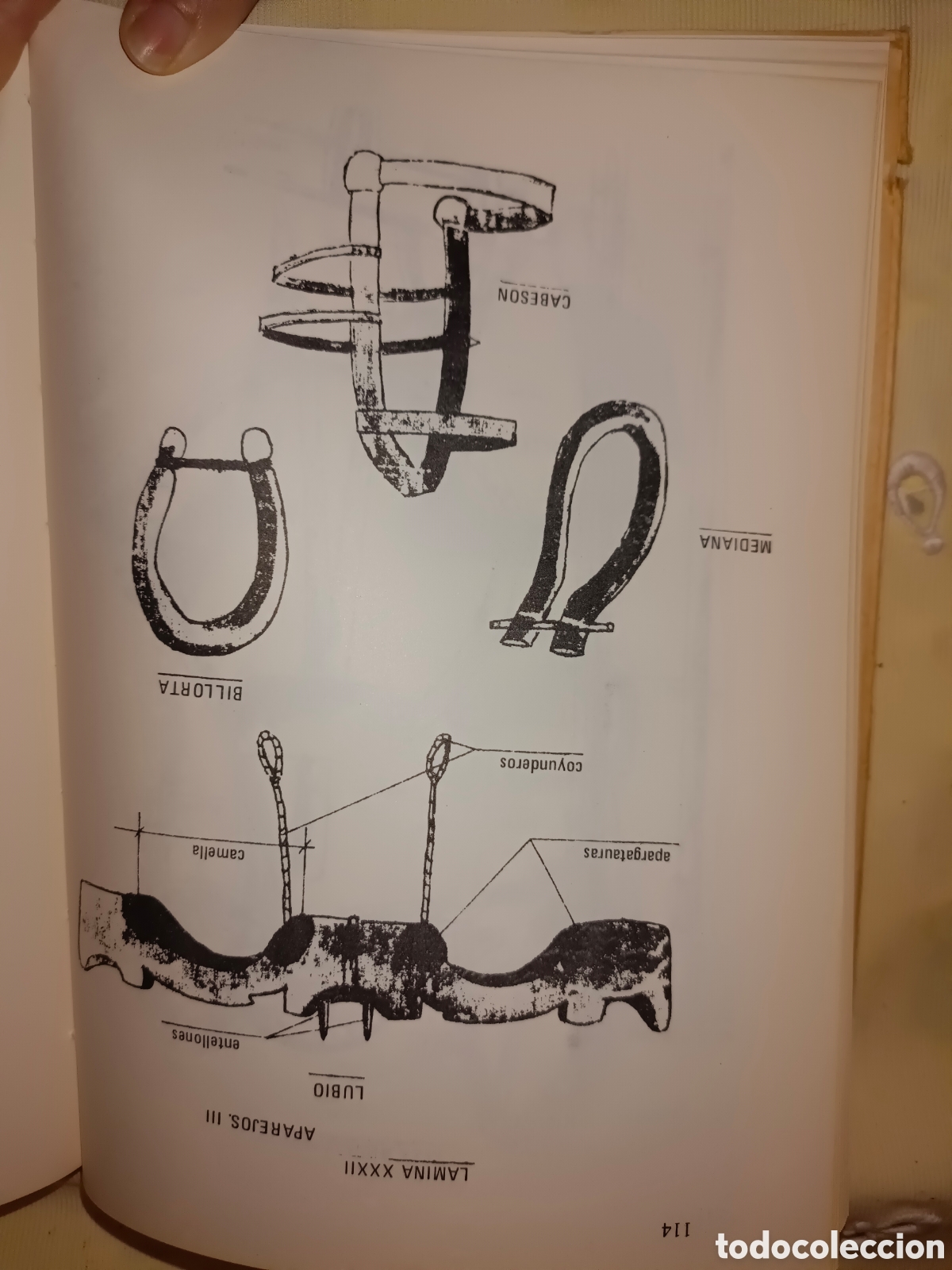 Libros de segunda mano: El Habla de Orihuela - Foto 9