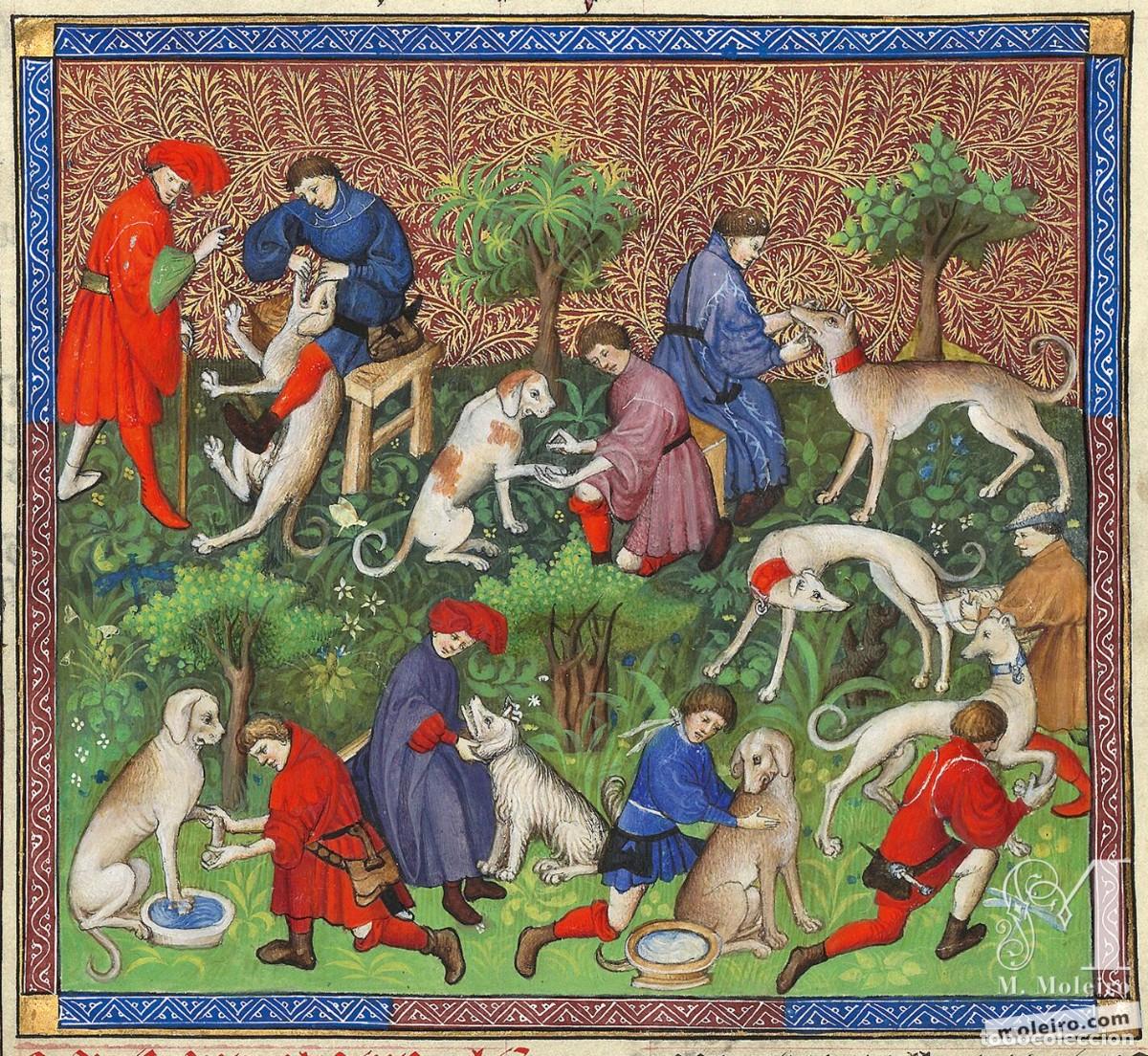 Libros de segunda mano: Libro de la caza, Gaston F&eacute;bus, facsimil Moleiro. Chasse de Gaston Phoebus Comte de Foix - Foto 6