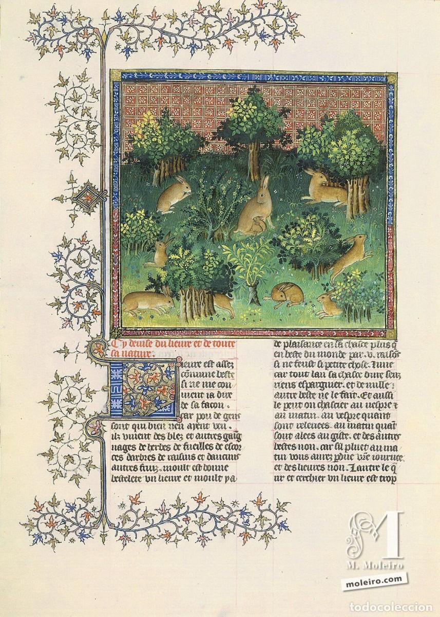 Libros de segunda mano: Libro de la caza, Gaston F&eacute;bus, facsimil Moleiro. Chasse de Gaston Phoebus Comte de Foix - Foto 8