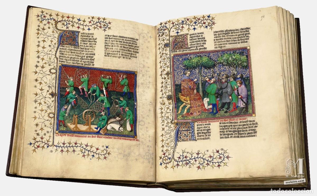 Libros de segunda mano: Libro de la caza, Gaston F&eacute;bus, facsimil Moleiro. Chasse de Gaston Phoebus Comte de Foix - Foto 9