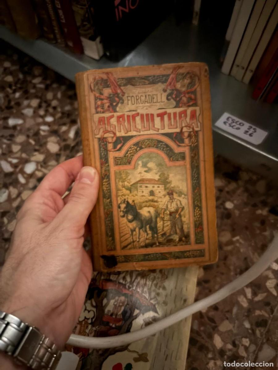 Gebrauchte B&uuml;cher: ESCO25 FORCADELL AGRICULTURA