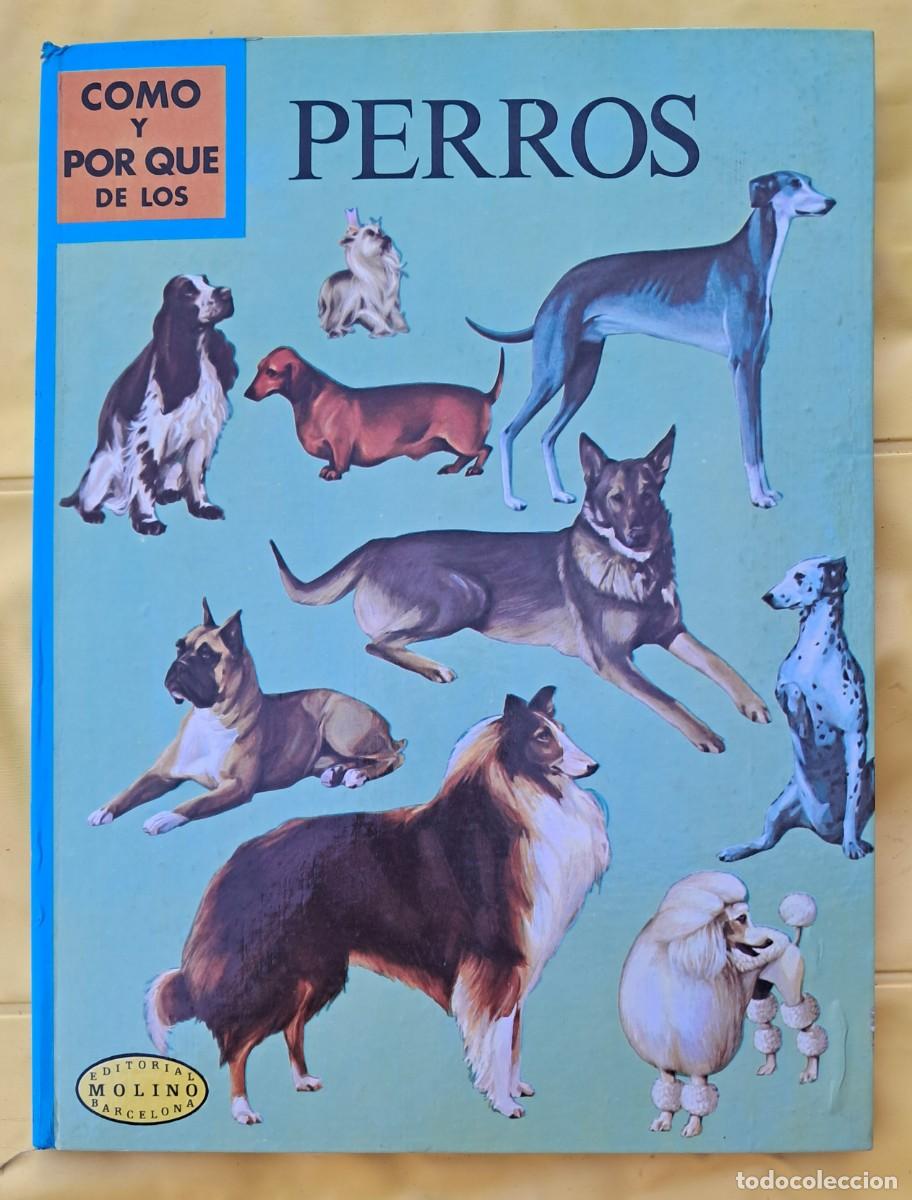 Libros de segunda mano: C&oacute;mo y por qu&eacute; de los Perros. Editorial Molino 1971