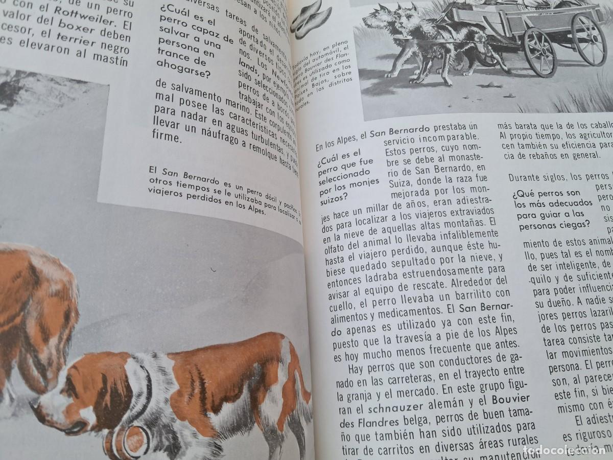 Libros de segunda mano: C&oacute;mo y por qu&eacute; de los Perros. Editorial Molino 1971 - Foto 2