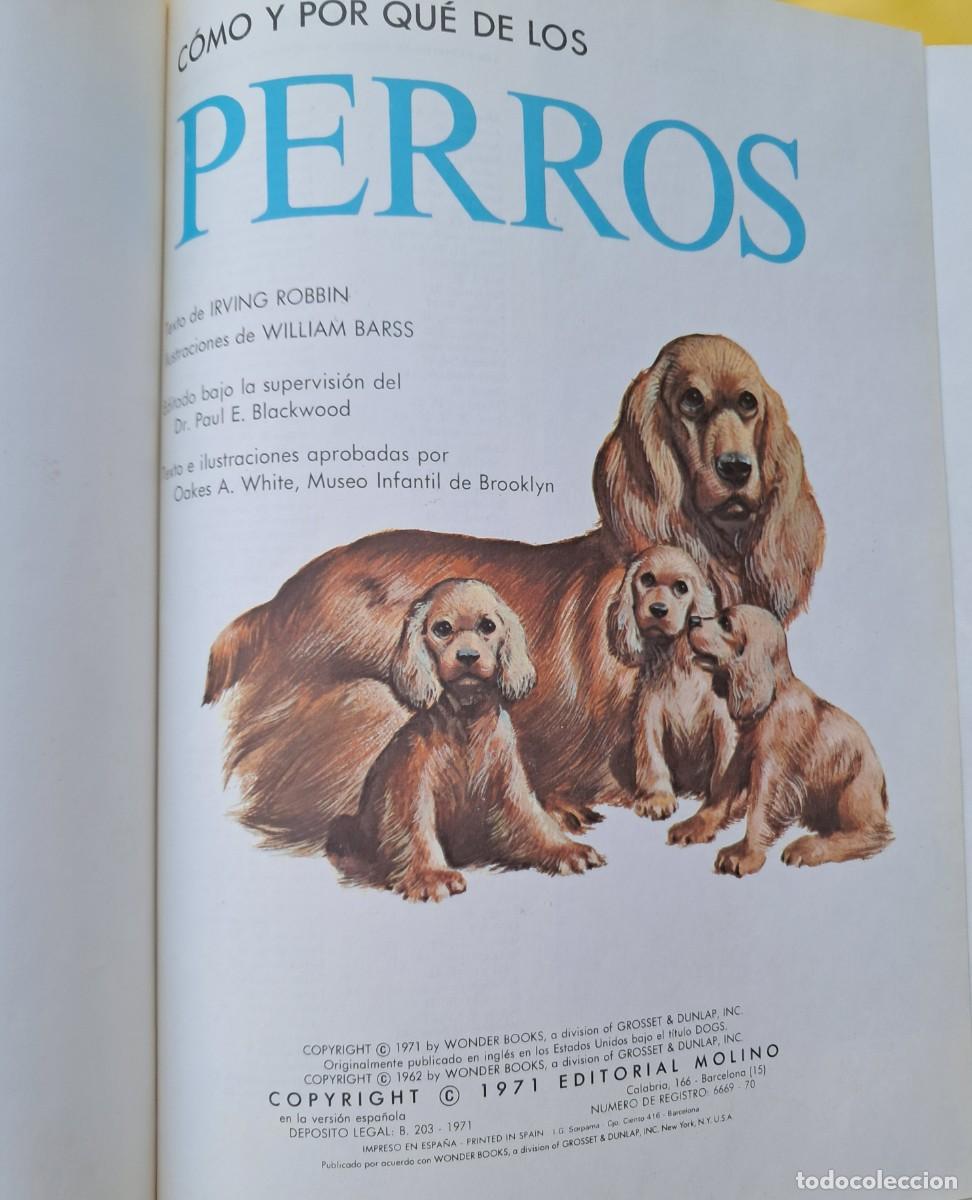 Libros de segunda mano: C&oacute;mo y por qu&eacute; de los Perros. Editorial Molino 1971 - Foto 3