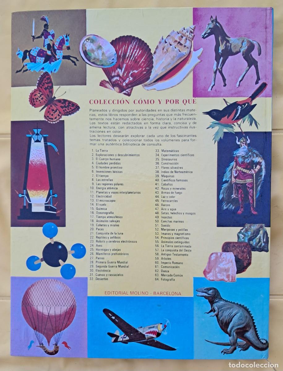 Libros de segunda mano: C&oacute;mo y por qu&eacute; de los Perros. Editorial Molino 1971 - Foto 4