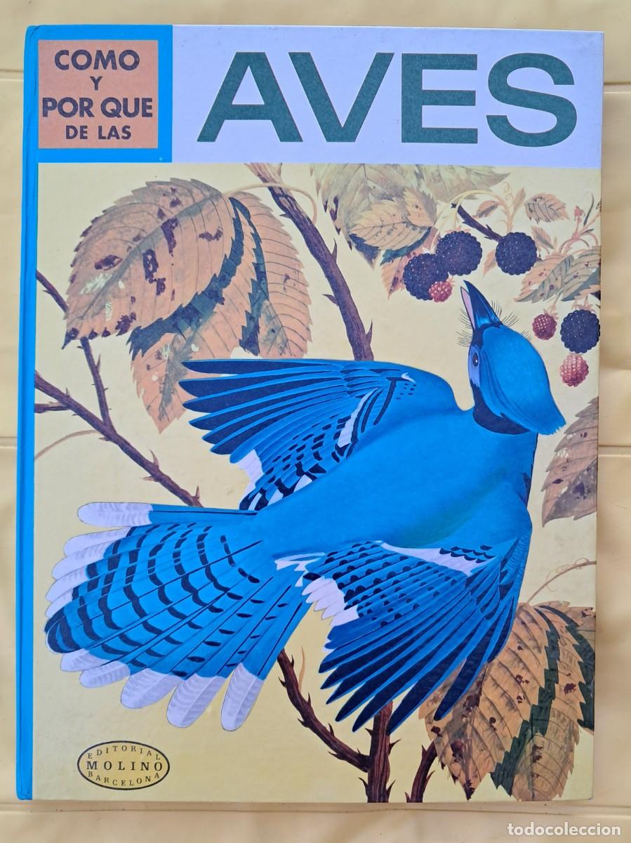 Libros de segunda mano: C&oacute;mo y por qu&eacute; de las Aves. Editorial Molino 1970 - Foto 1