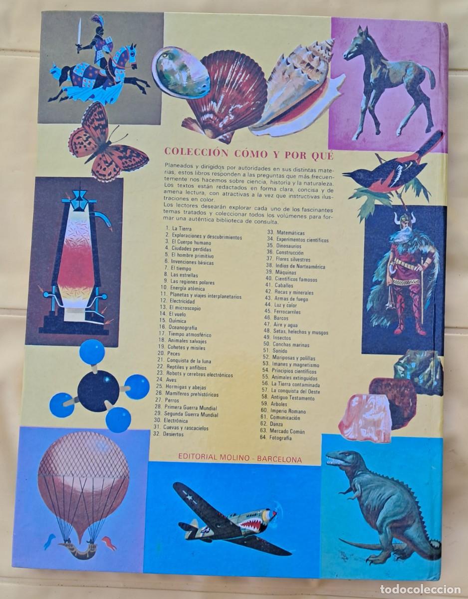 Libros de segunda mano: C&oacute;mo y por qu&eacute; de las Aves. Editorial Molino 1970 - Foto 3