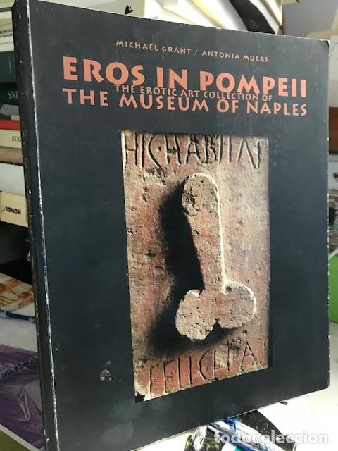 Libros de segunda mano: Eros in Pompeii -Erotic art collection of Museum of Naples