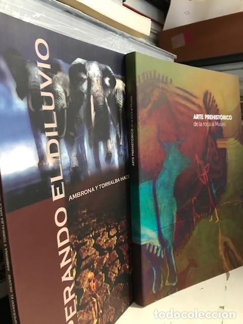Libros de segunda mano: Arte Prehist&oacute;rico - De la roca al museo + Ambrona y Torralba hace 400.000 a&ntilde;os