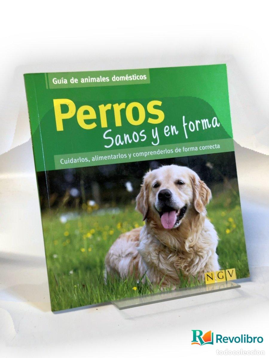 Libros de segunda mano: Perros - Jennifer Willms