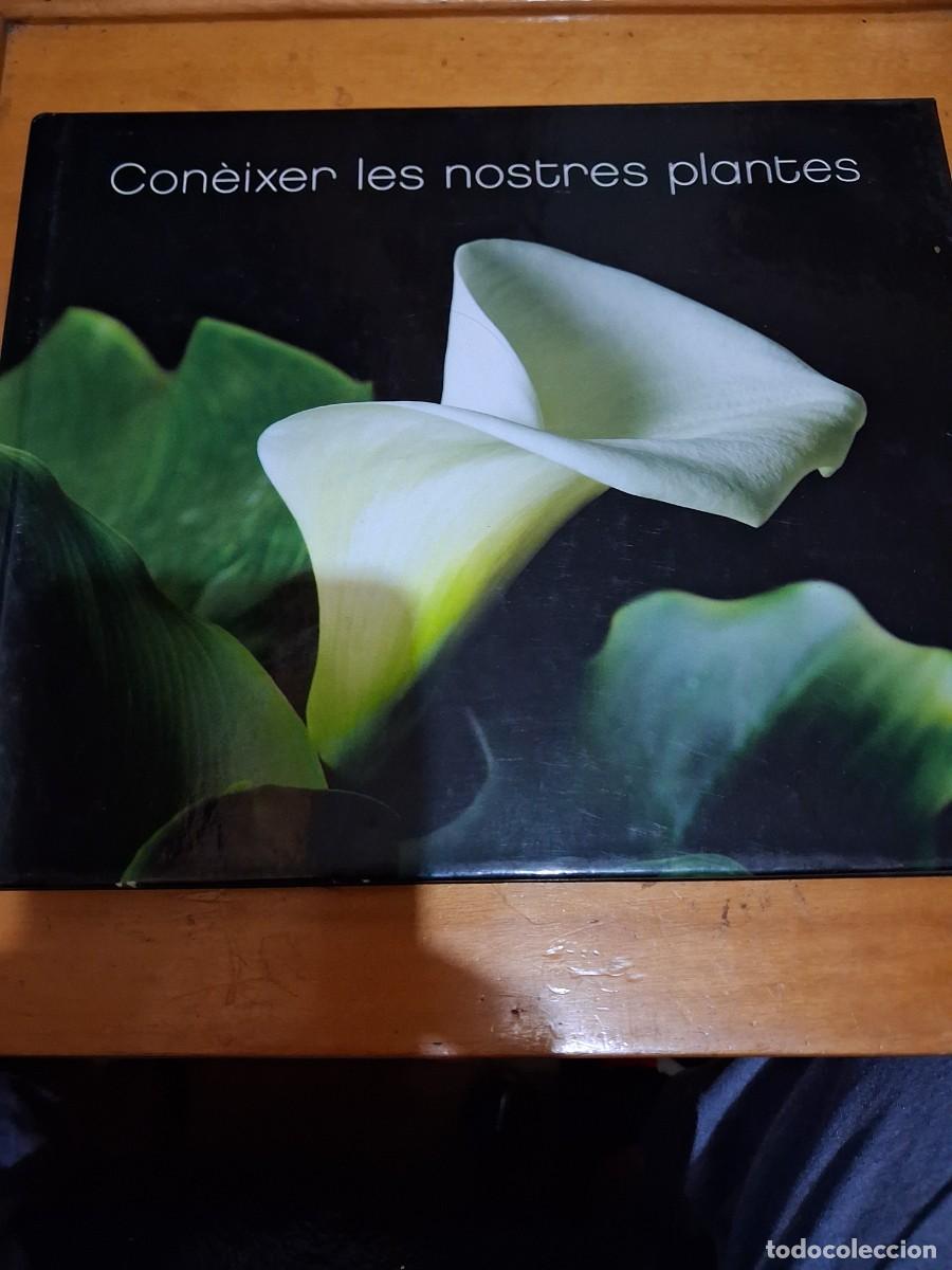 Libros de segunda mano: Coneixer les nostres plantes - Fundaci&oacute; La Caixa - Foto 1