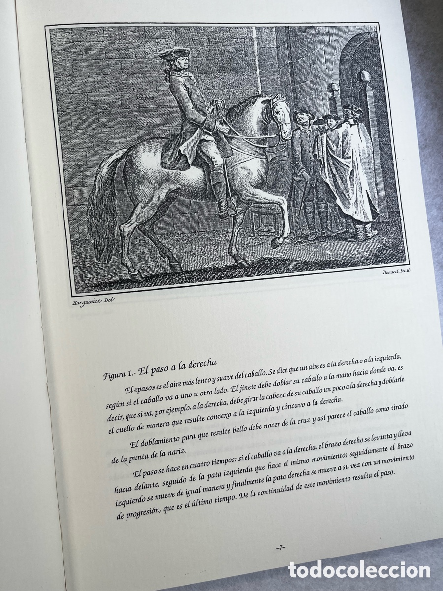 Libros de segunda mano: DOMA Y EQUITACI&Oacute;N / CABALLOS / ECUESTRE - Foto 6