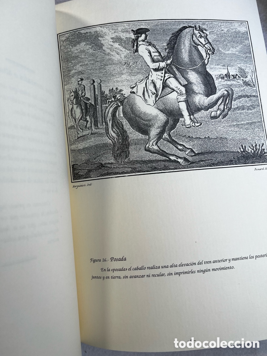 Libros de segunda mano: DOMA Y EQUITACI&Oacute;N / CABALLOS / ECUESTRE - Foto 7
