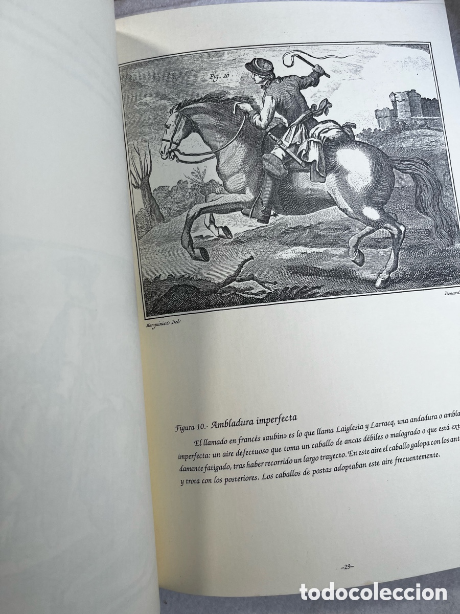 Libros de segunda mano: DOMA Y EQUITACI&Oacute;N / CABALLOS / ECUESTRE - Foto 8