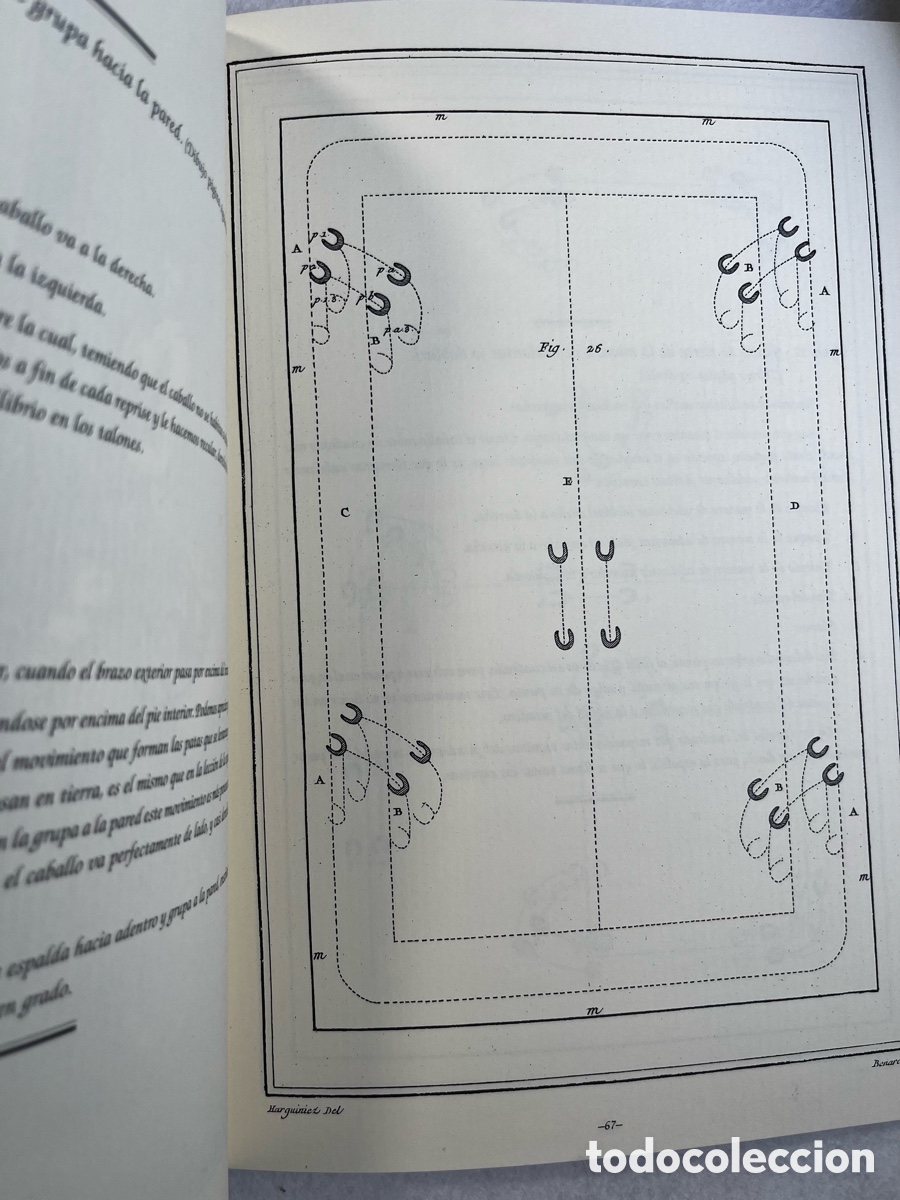 Libros de segunda mano: DOMA Y EQUITACI&Oacute;N / CABALLOS / ECUESTRE - Foto 10