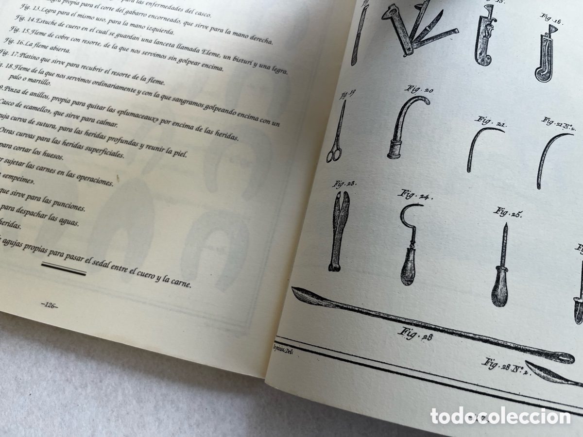 Libros de segunda mano: DOMA Y EQUITACI&Oacute;N / CABALLOS / ECUESTRE - Foto 11