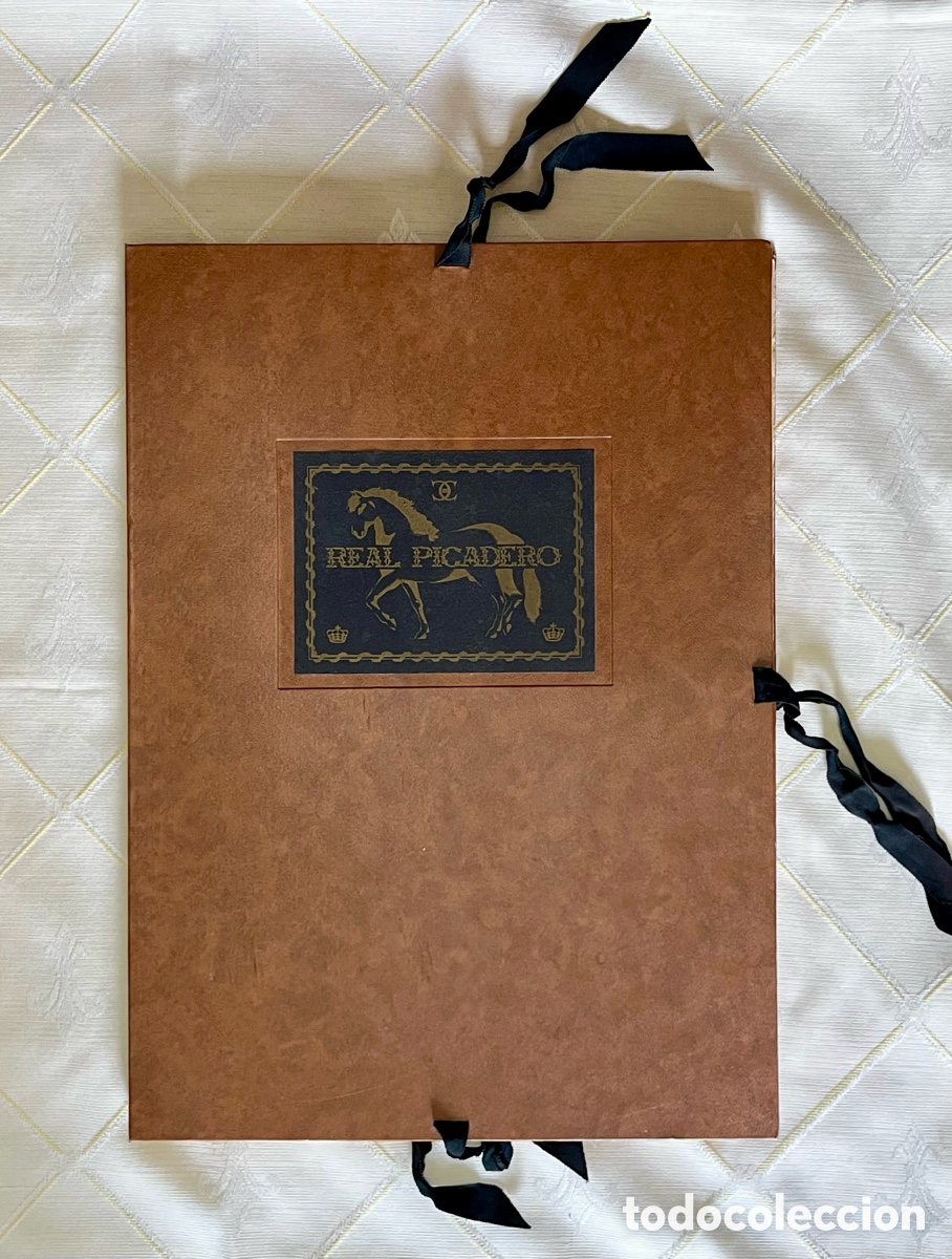 Libros de segunda mano: CABALLO / ECUESTRE / EQUITACI&Oacute;N - REAL PICADERO / GUSTAVO GILI
