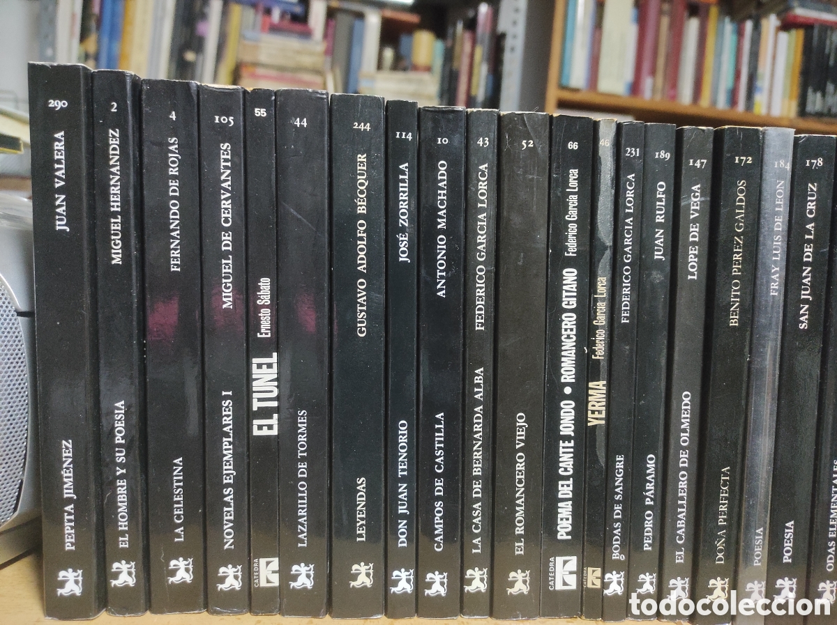 Libros de segunda mano: Lote de 34 libros Editorial Catedra Letras Hisp&aacute;nicas - Foto 2