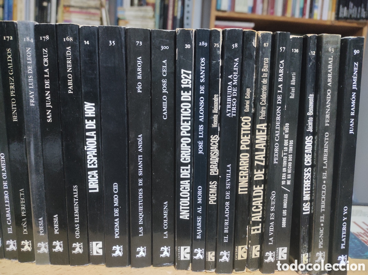 Libros de segunda mano: Lote de 34 libros Editorial Catedra Letras Hisp&aacute;nicas - Foto 3