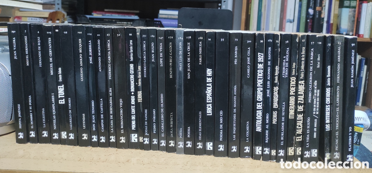 Libros de segunda mano: Lote de 34 libros Editorial Catedra Letras Hisp&aacute;nicas - Foto 1