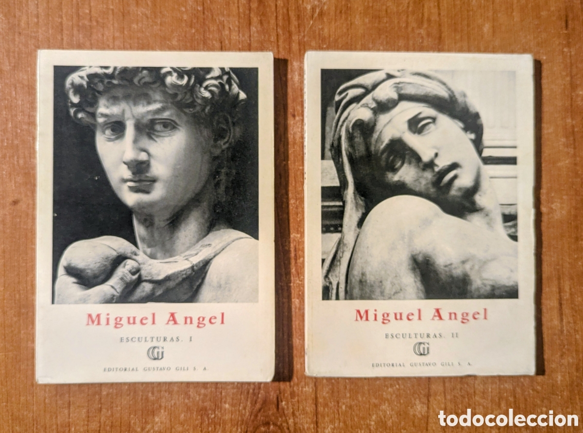 Libros de segunda mano: --- Miguel Angel. ESCULTURAS, I y II Gustavo Gili Colecci&oacute;n Minia Peque&ntilde;a enciclopedia del arte